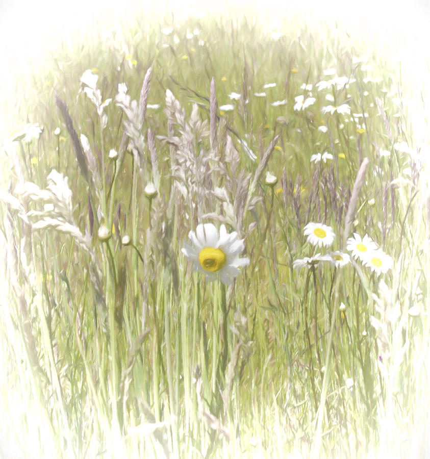 Field of Flowers 2 Digital Art by Cathy Anderson