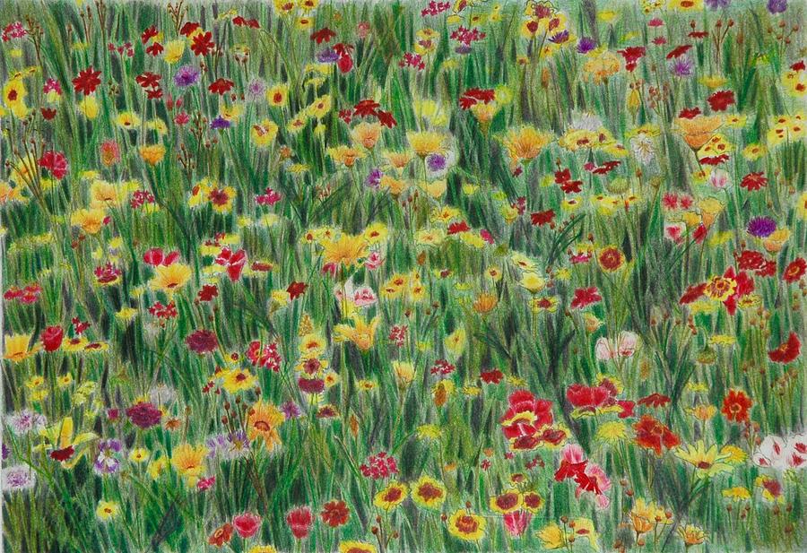 Field Of Flowers Drawing By Barbara Stanton