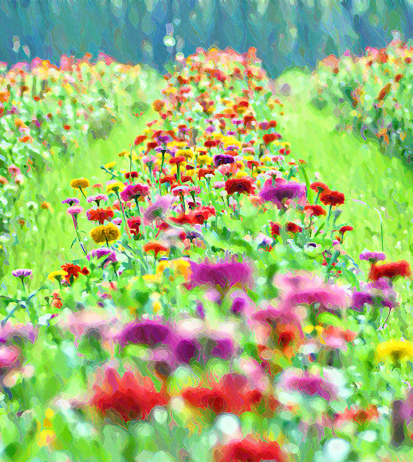 Field of Flowers Photograph by Bill Cannon