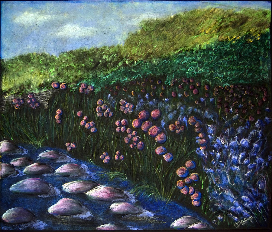 Field Of Flowers Drawing by Coralyn Klubnick Simone