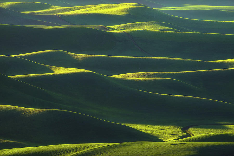 Field Of Grain Photograph by Jojo Butingan - Fine Art America