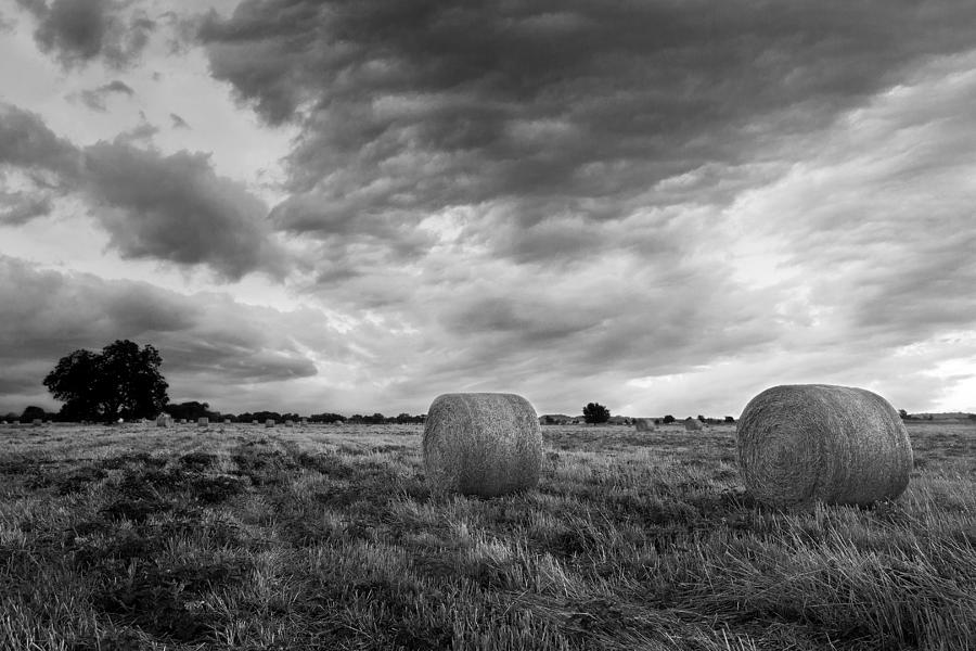 Field of Hay Black and White 2 Photograph by Paul Huchton