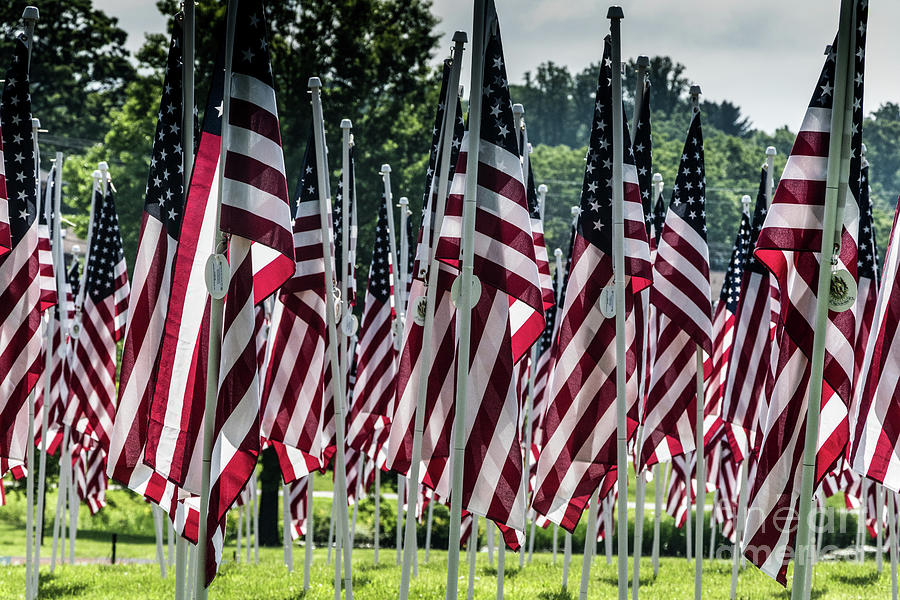 Field of Honor #1 Photograph by Thomas Marchessault