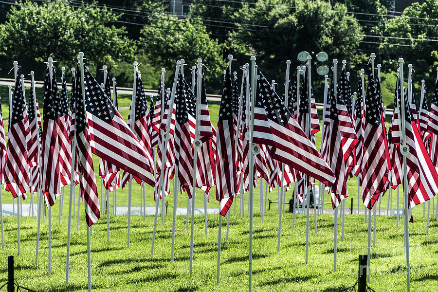 Field Of Honor Photograph