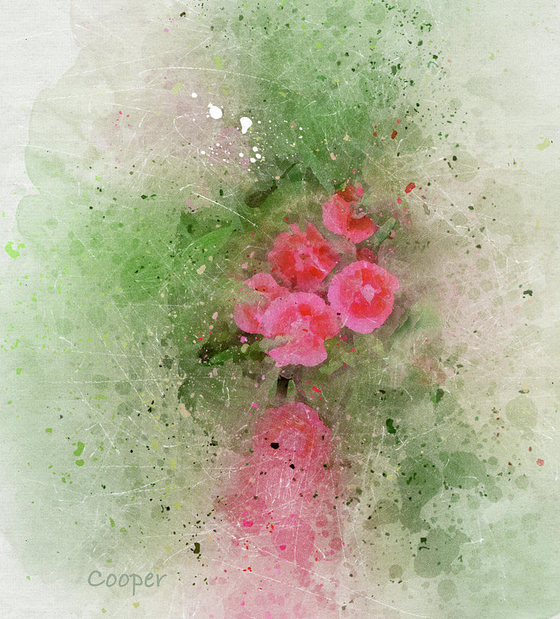 Field of Pink by Peggy Cooper Field of Pink by Peggy Cooper