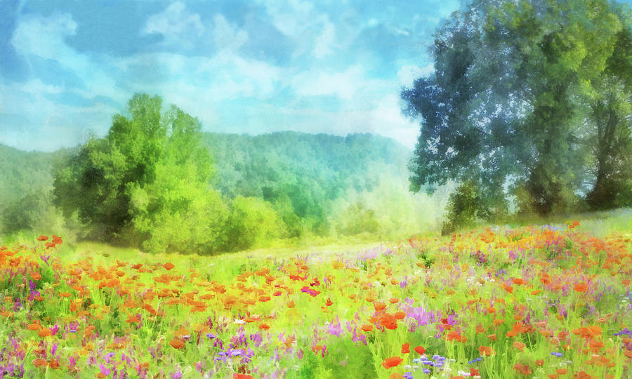 Field of Poppies 2 Digital Art by Frances Miller