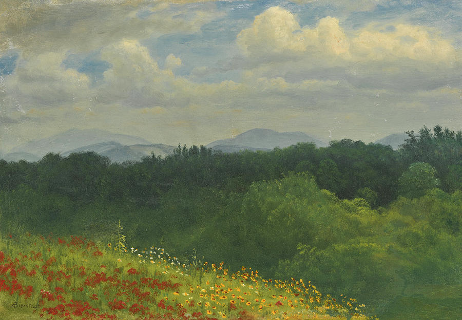 Field of Red and Yellow Wildflowers Painting by Albert Bierstadt