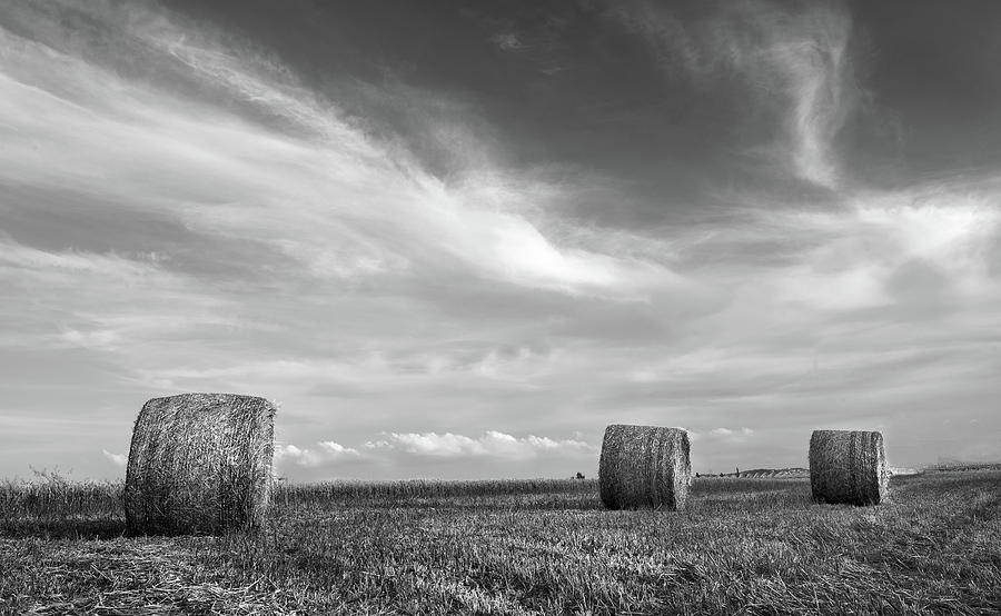 Field of Round bales of hay after harvesting Photograph by Michalakis Ppalis