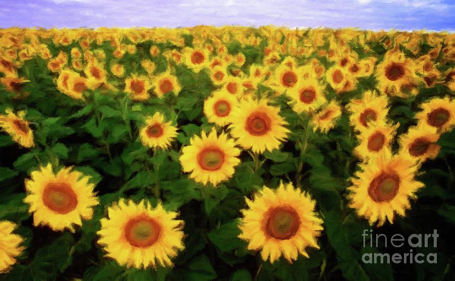 Field Of Summer Sunflowers Painting
