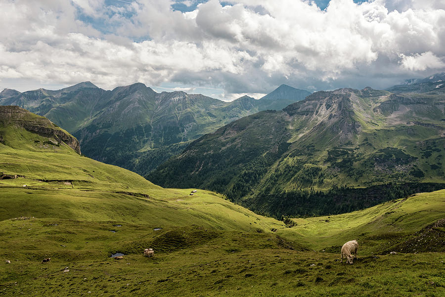 Grossglockner Valley, Austria Photograph by Nir Roitman