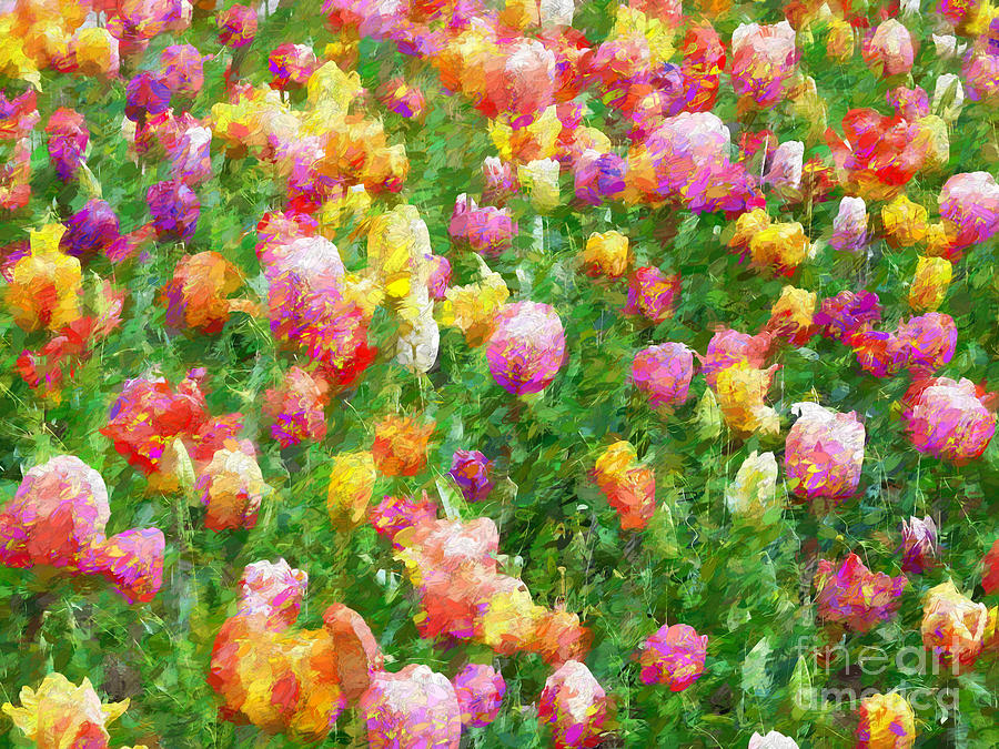 Field Of Tulips Abstract Photograph