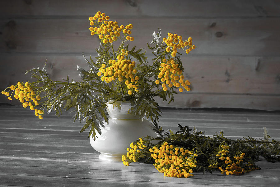 Field Of Yellow Flowers In A Vase, Bouquet Photograph