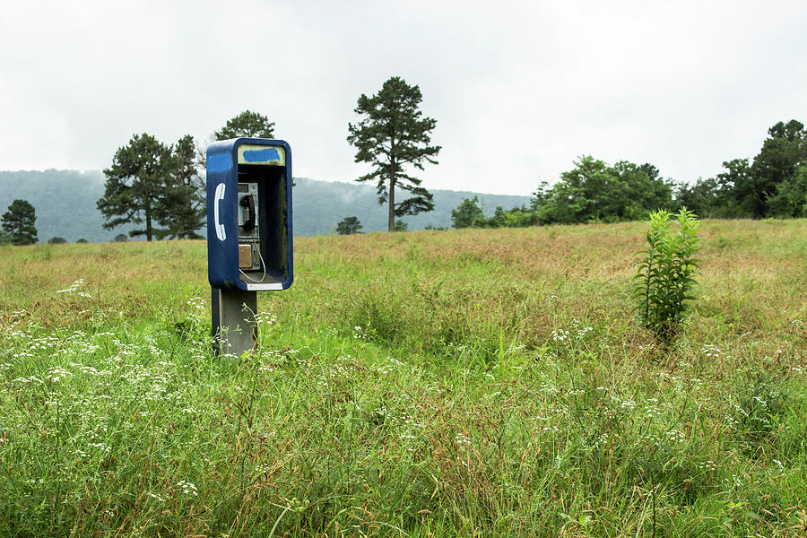 Field Phone Booth Photograph by Tammy Chesney