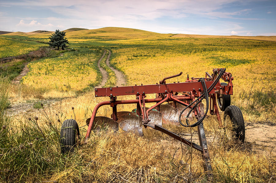 Field Plow Photograph by Brad Stinson