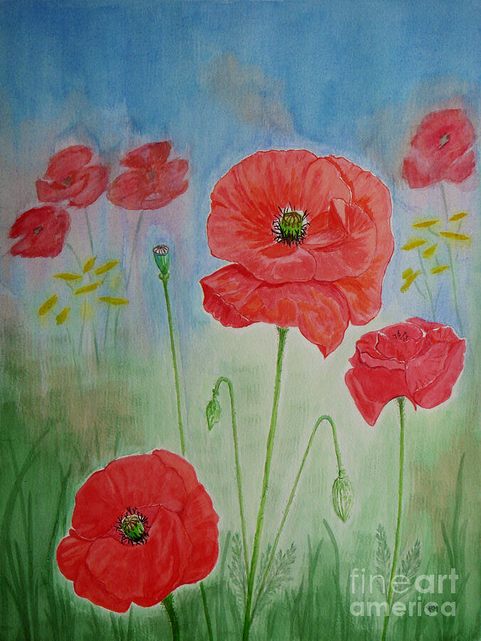 Field Poppies Painting by Yvonne Johnstone