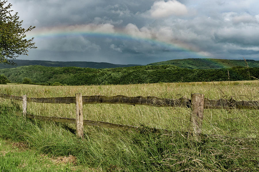 field Rainbow 6270088-63-2 Photograph by Deidre Elzer-Lento