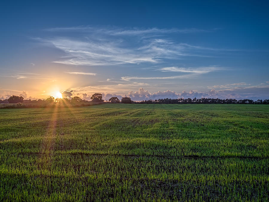 Field Sunset Photograph by Brad Boland