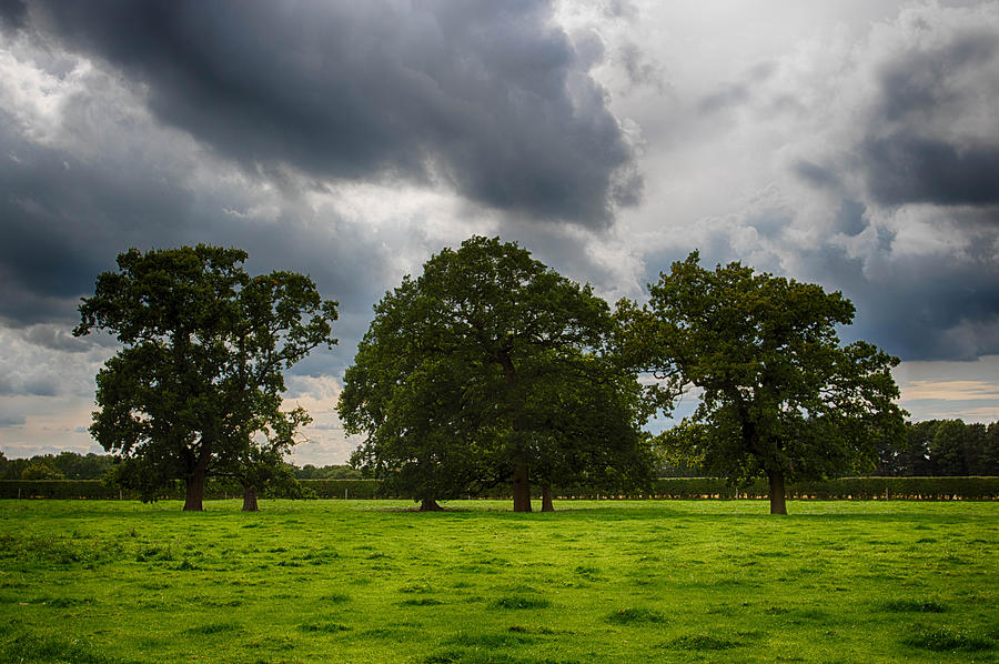 Field Under a Stormy Sky Photograph by Leah Palmer