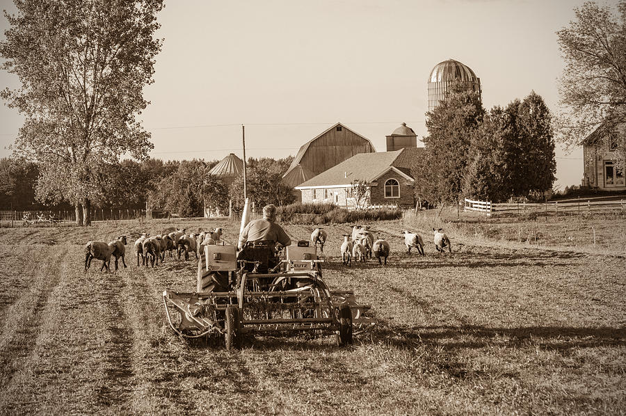 Field Work Photograph by James  Meyer
