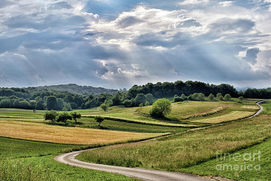 Fields Behind Cerina Photograph by Norman Gabitzsch