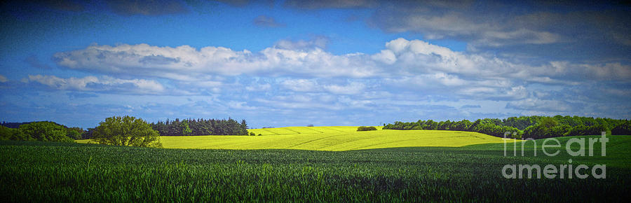 10990 Fields Photograph by Colin Hunt