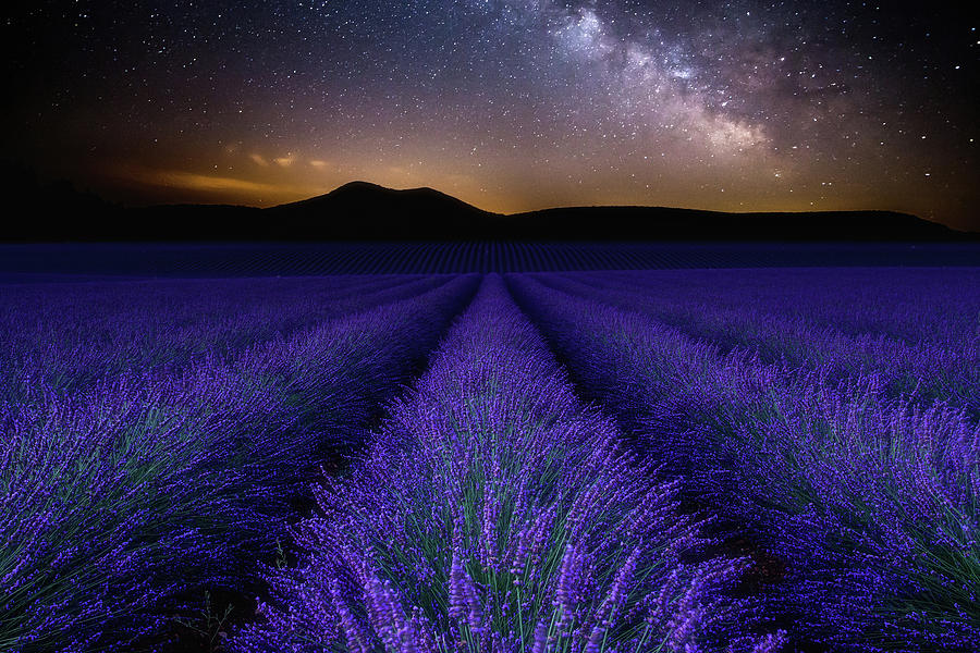 Fields of Eden Photograph by Jorge Maia
