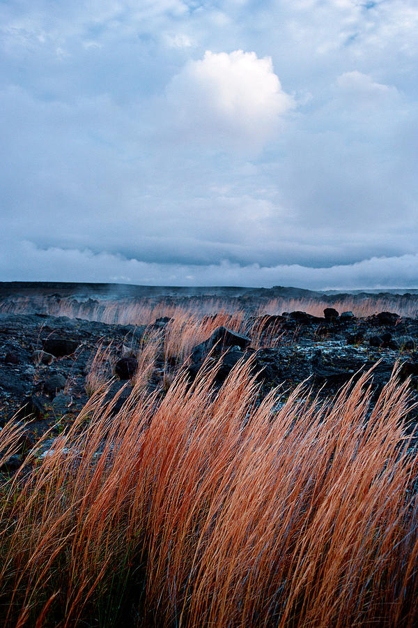 Fields of fire Photograph by Gary Cloud
