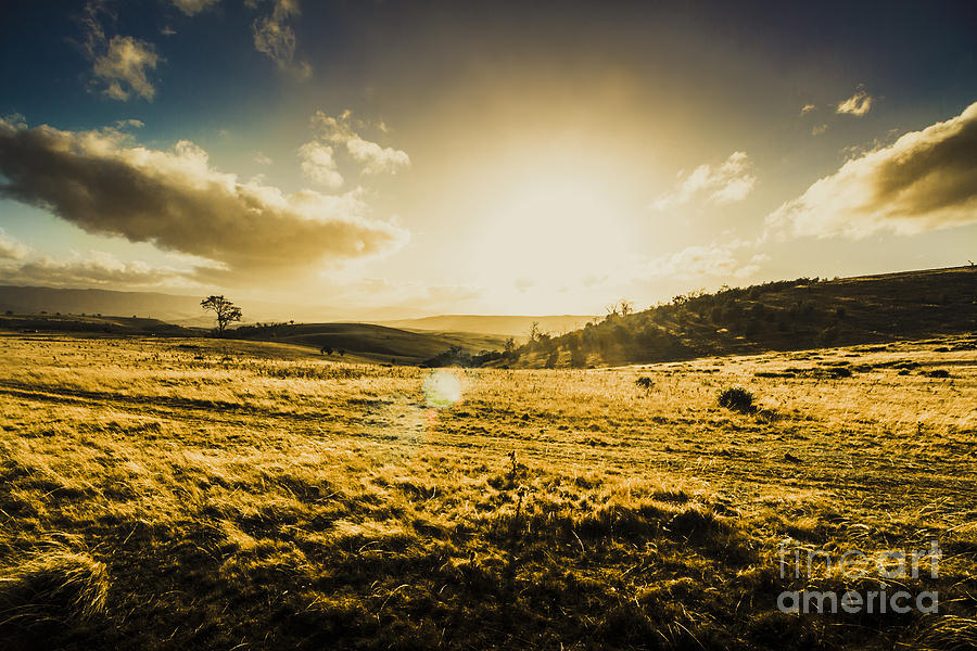 Fields of natural light Photograph by Jorgo Photography