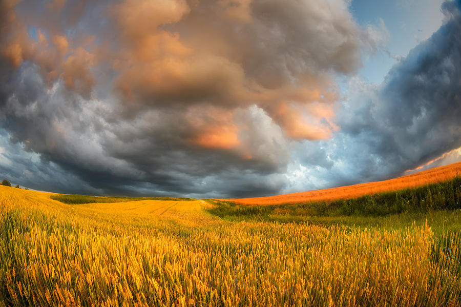 Summer Photograph - Fields Of Storm by Piotr Krol (bax)