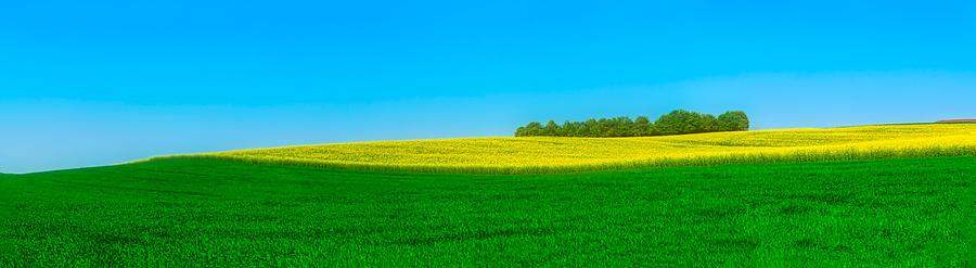 Summer Photograph - Fields Of Summer by Mountain Dreams
