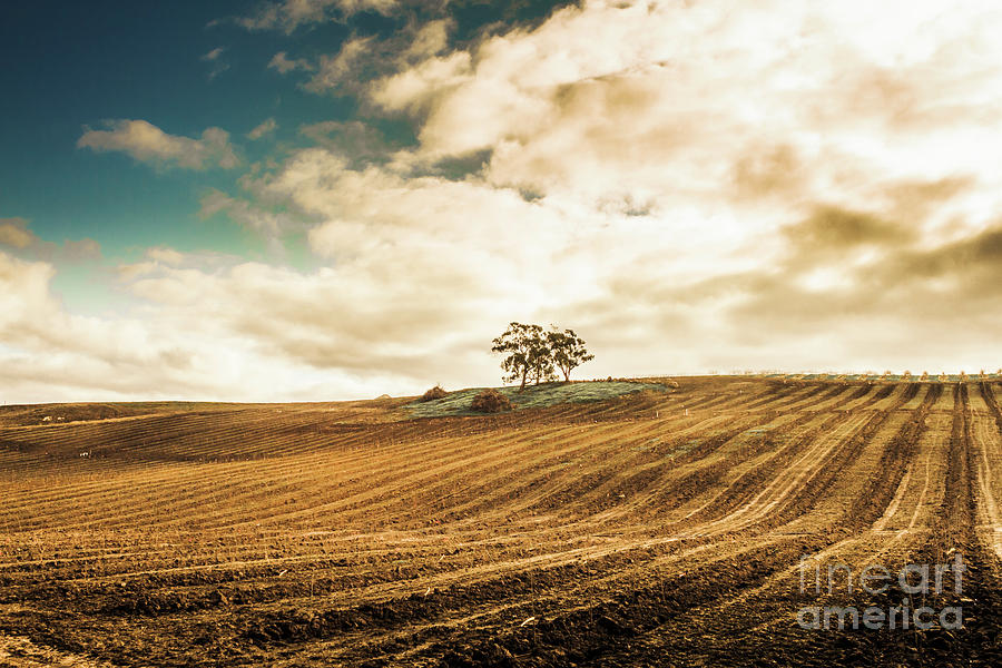 Fields of Tasmanian agriculture Photograph by Jorgo Photography