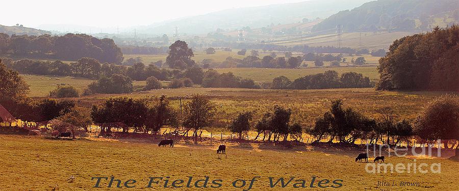 Fields of Wales Photograph by Rita Brown