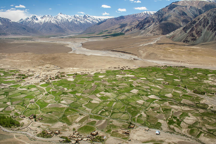 Fields of Zangla, Zanskar, 2008 Photograph by Hitendra SINKAR