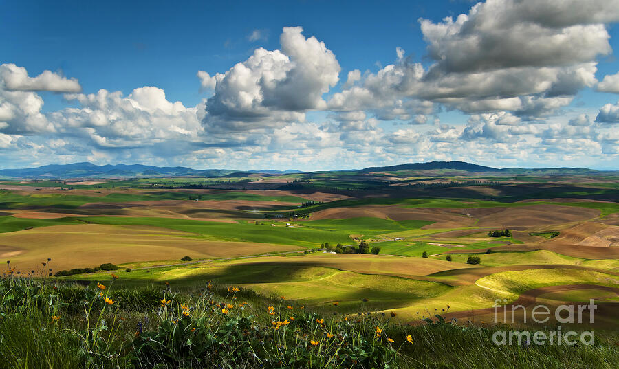 Fields Photograph by Randolph Fritz - Fine Art America