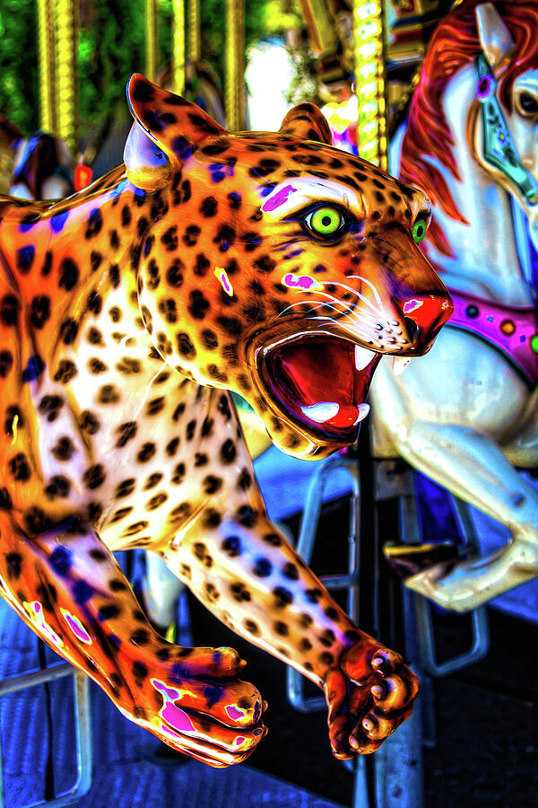 Fierce Cheetah Photograph by Garry Gay