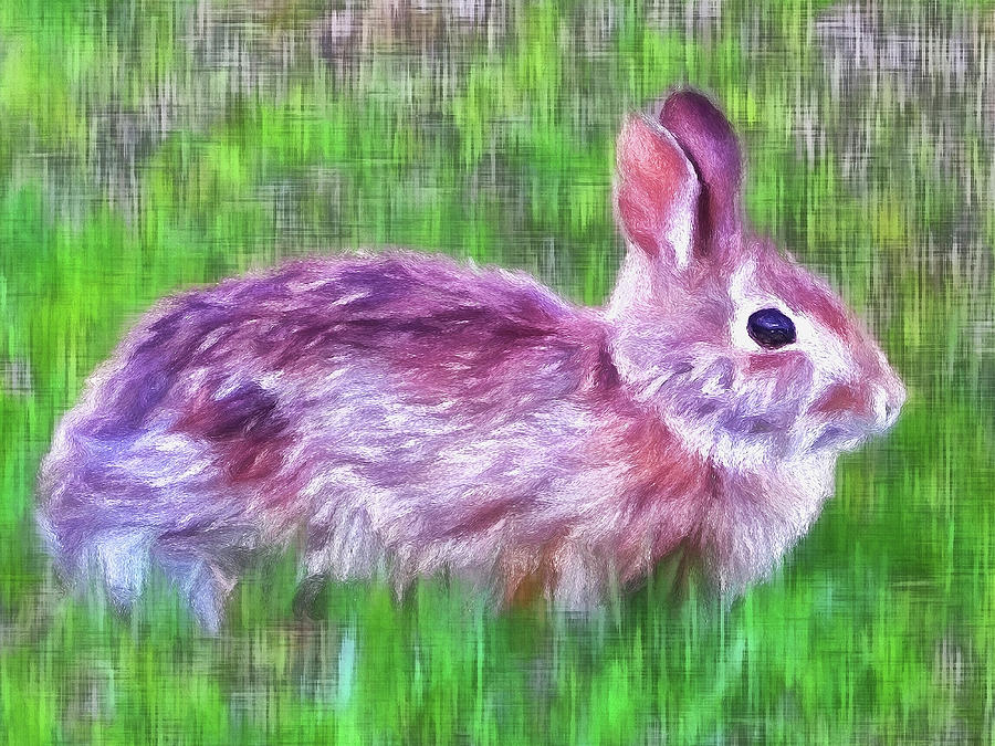 Fierce Rabbit Digital Art by Leslie Montgomery