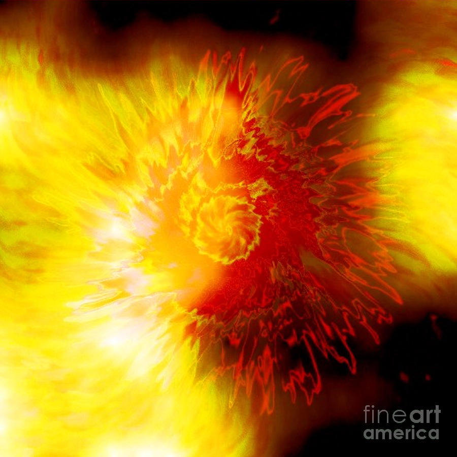 Fiery and hot flowers Digital Art by Morgana Blackcat