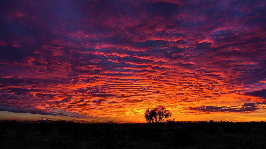 Fiery Arizona Skies  Photograph by Saija Lehtonen