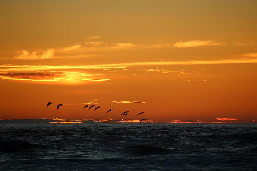 Fiery Ocean Sunset - 3 Photograph by Christy Pooschke