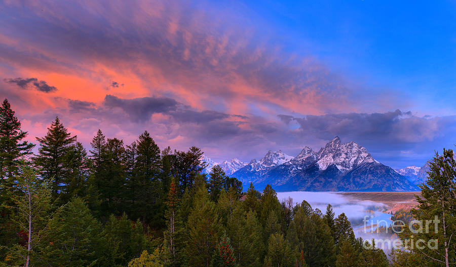 Fiery Pink Over The Tetons Photograph by Adam Jewell