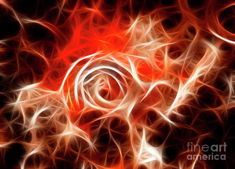 Fiery Rose Photograph by Vivian Christopher