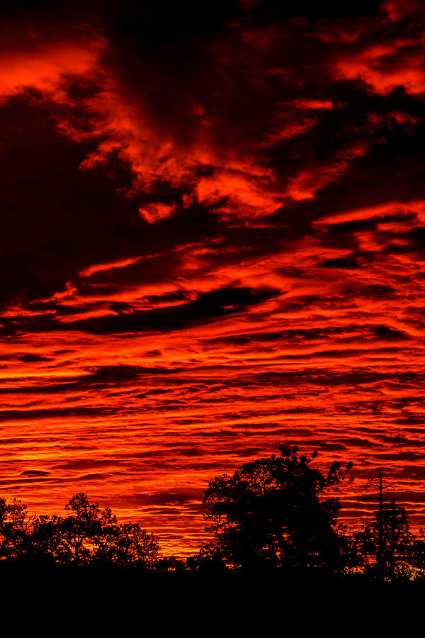 Fiery Sky Photograph by Bruce Du Fresne