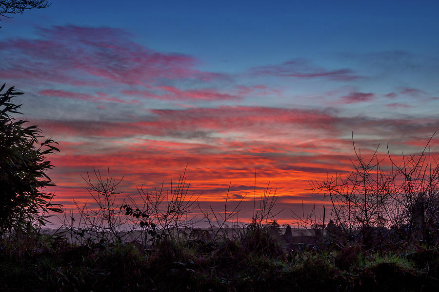 Fiery Sky Photograph by Mark Llewellyn