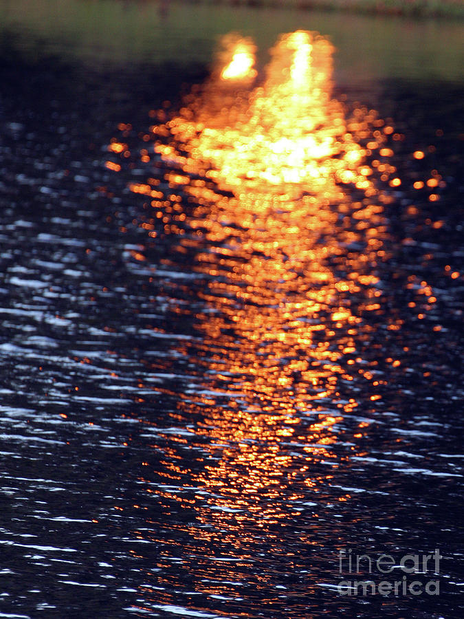 Fiery Sunglade on Hampton Hall Lagoon Photograph by Rick Locke - Out of the Corner of My Eye