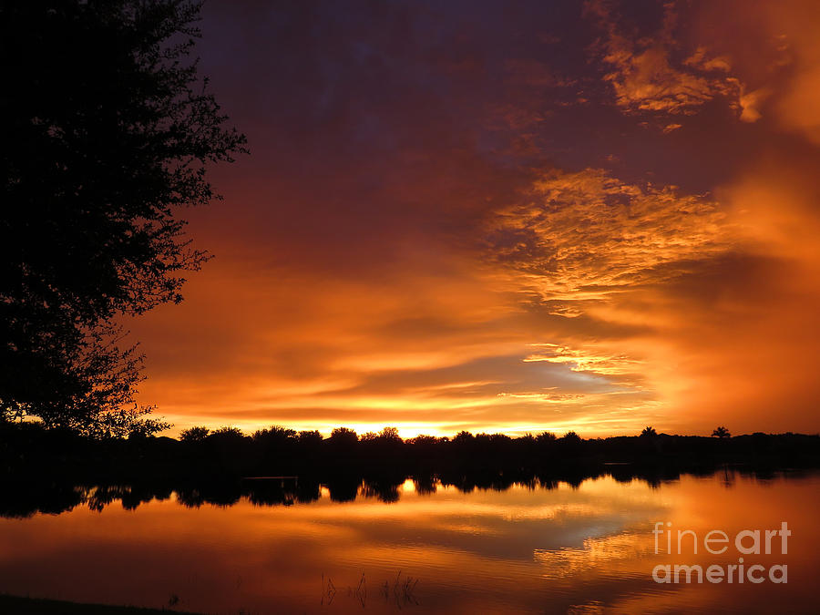 Fiery Sunset Photograph by Carol Lloyd
