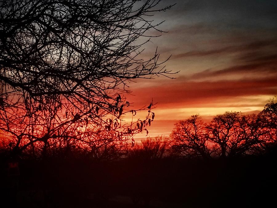 Fiery Sunset Photograph by Doris Aguirre