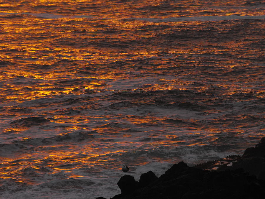 Fiery Sunset Glow on the Ocean Photograph by Michael Oceanofwisdom Bidwell
