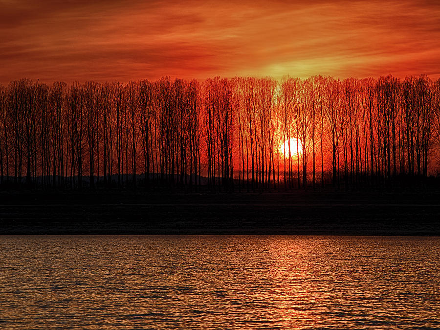 Fiery sunset Photograph by Plamen Petkov
