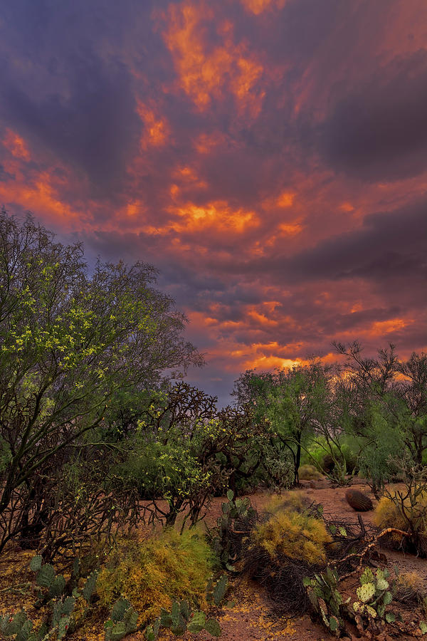 Fiery Sunset v17 Photograph by Mark Myhaver