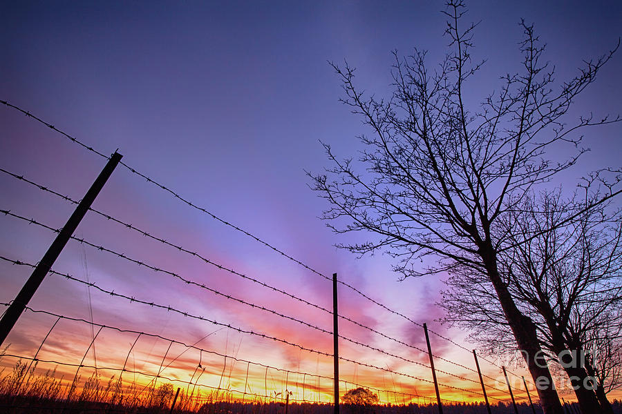 Fiery Norfolk sunset viewed through barbed fence Photograph by Simon Bratt